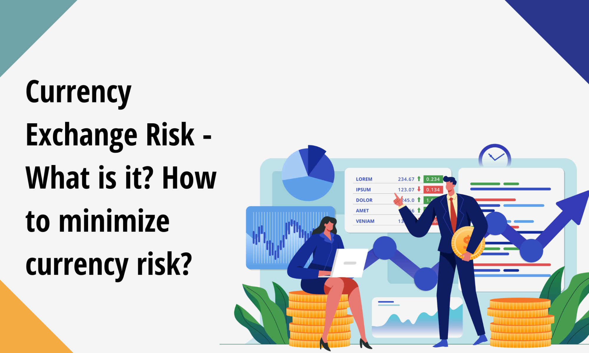 Currency exchange risk
